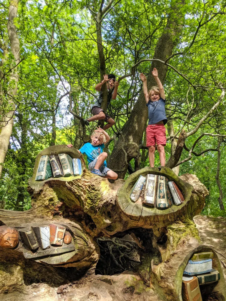 Woodland walk at Crich Tramway Museum