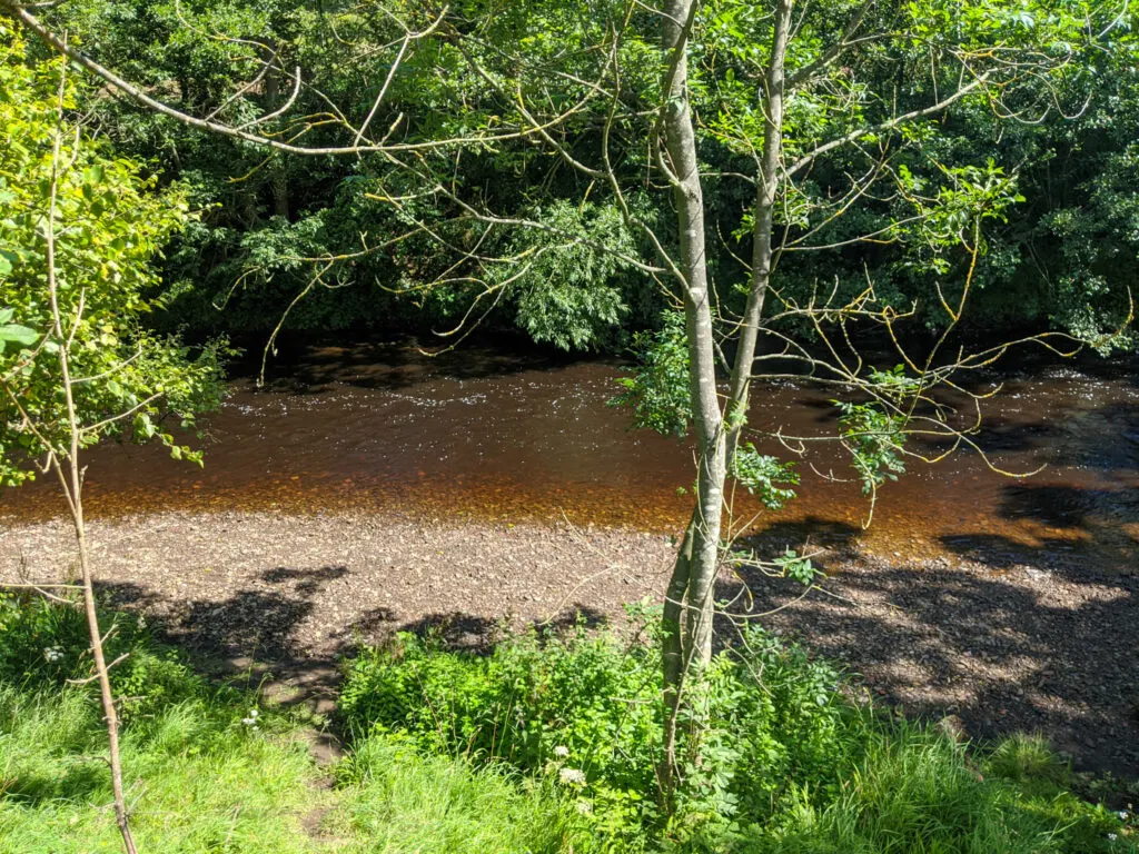 Hathersage stepping stones walk