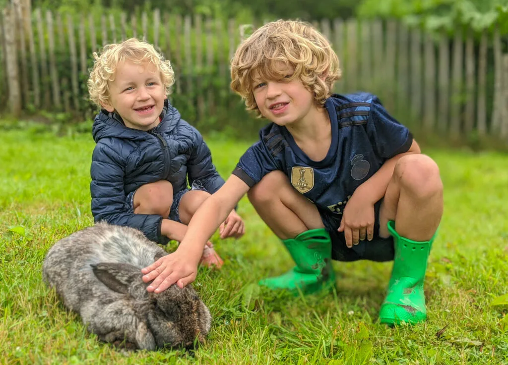 Petting at rabbit at Peak Wildlife Park