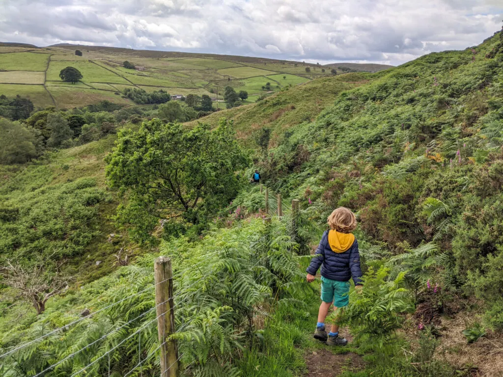 Three Shires Head walk