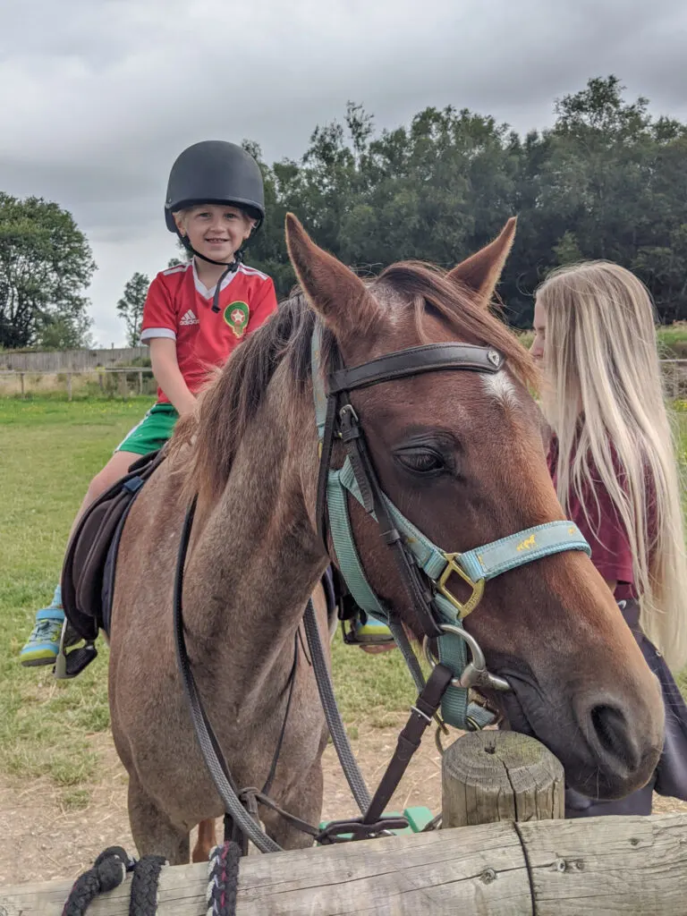 pony rides at Matlock Farm Park