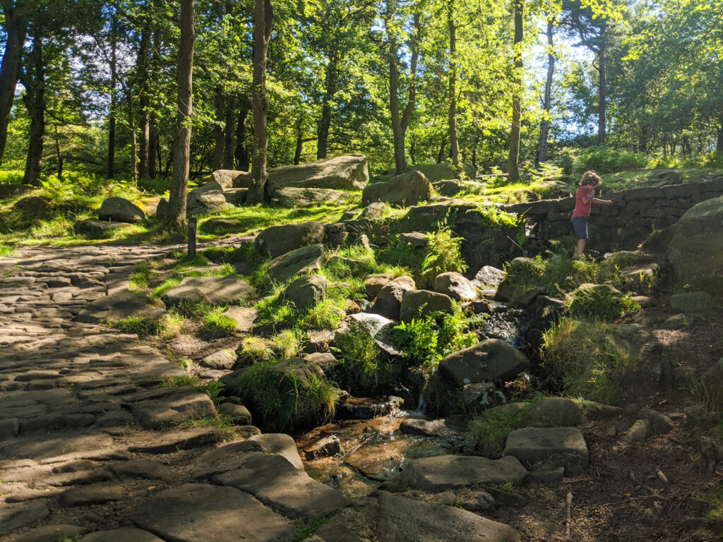 Padley Gorge walk