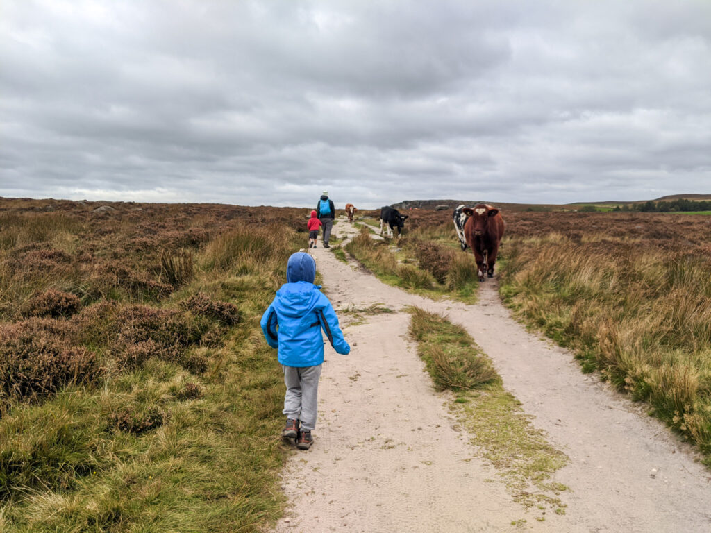 Baslow Edge walk