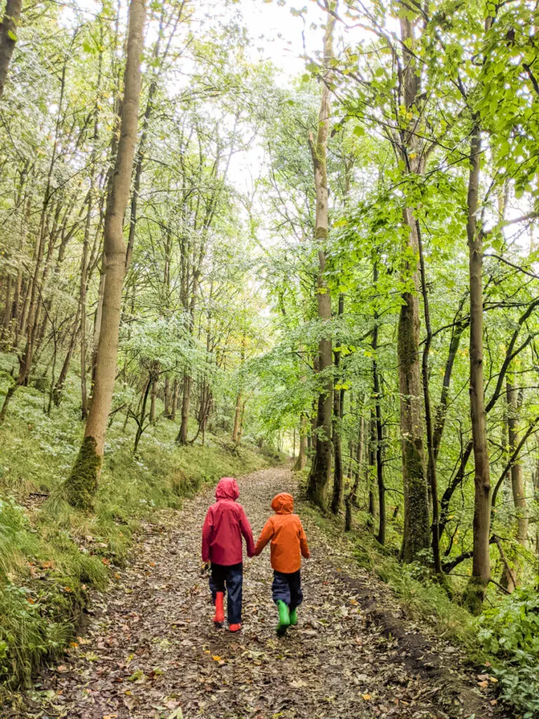 Cressbrook Dale walk