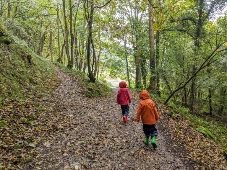 Cressbrook Dale walk
