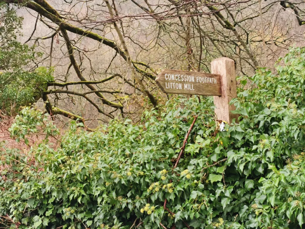 Cressbrook to Litton pram friendly walk