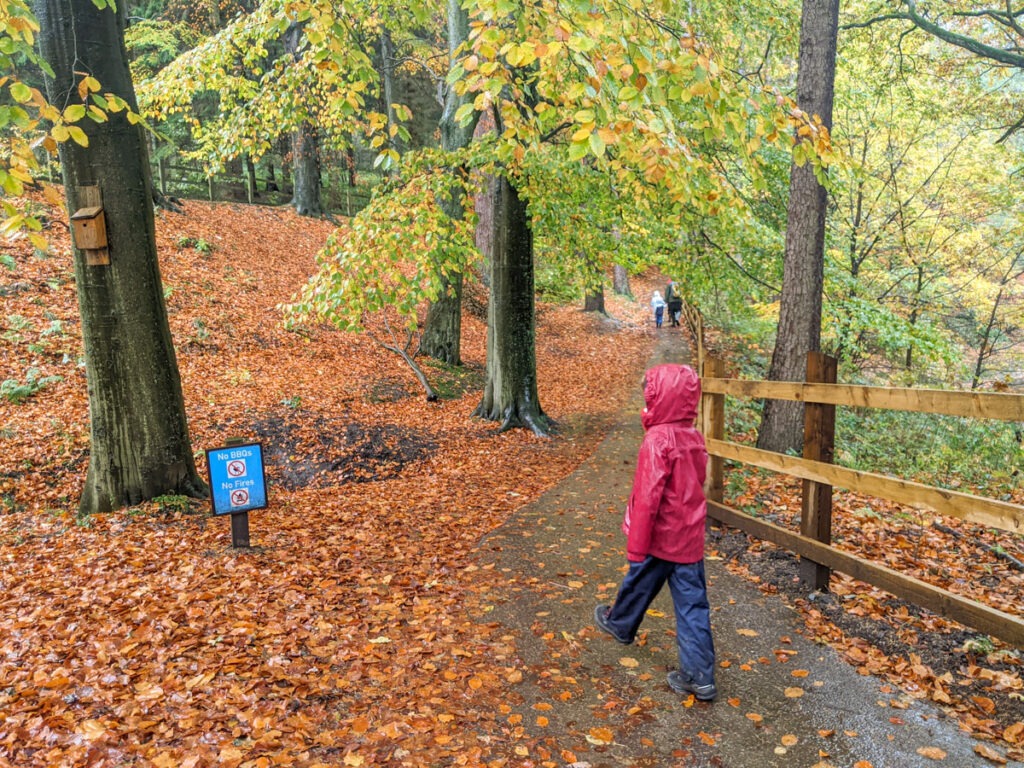 Derwent Dam walk