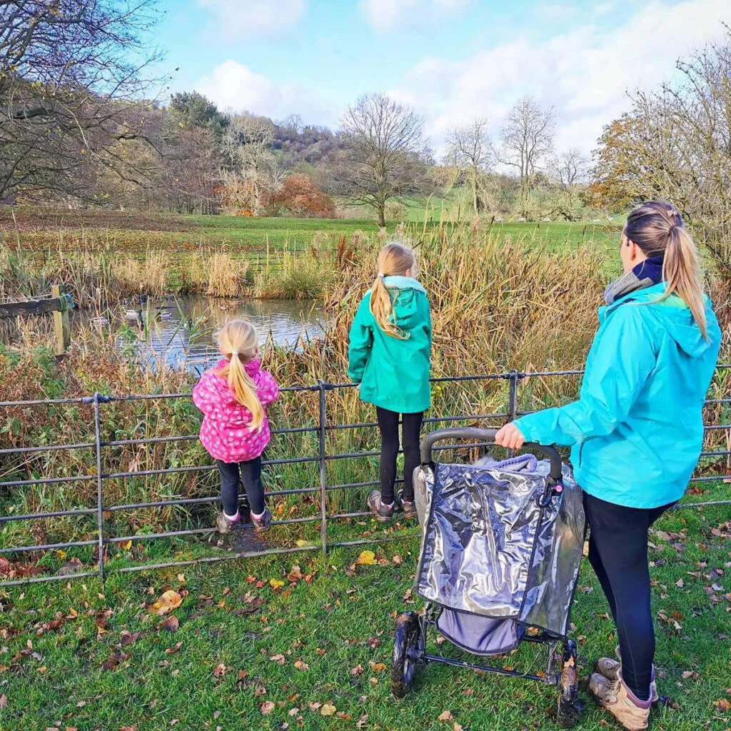 Ilam Park walk