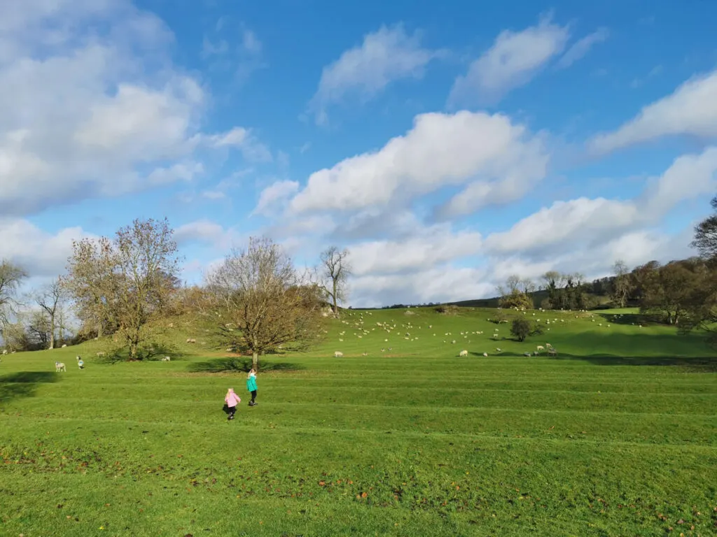 Ilam Park walk