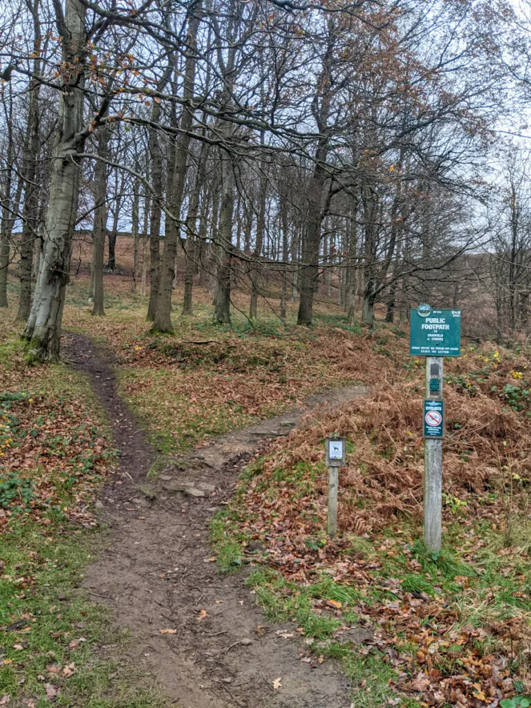 Derwent Dam walk