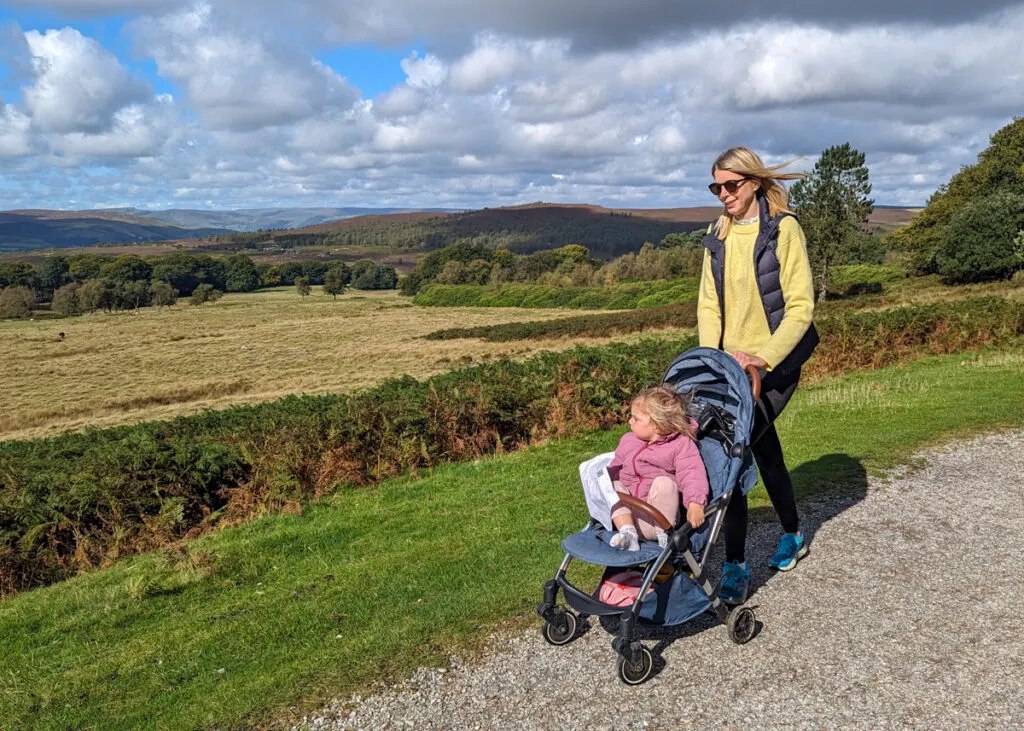 Walking stroller for store adults