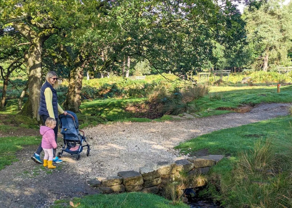 Longshaw Estate walk - pram friendly