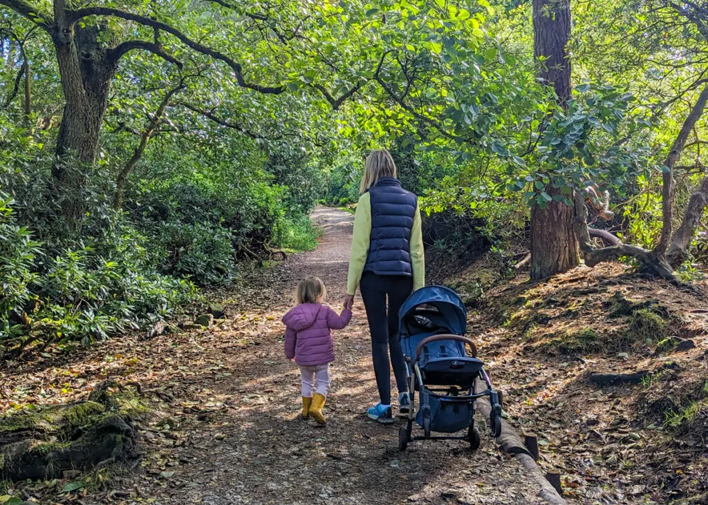 Longshaw Estate walk - pram friendly