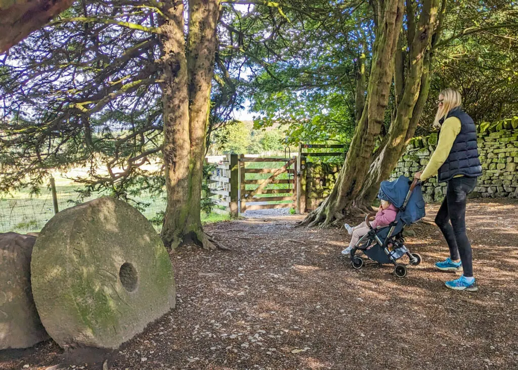 Longshaw Estate walk - pram friendly