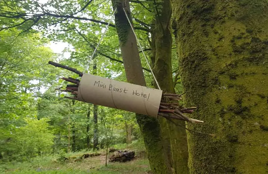 simple bug hotel