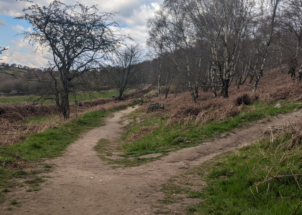 Birchen Edge walk