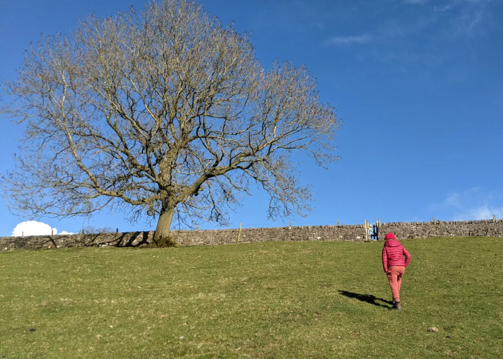 Dovedale circular walk