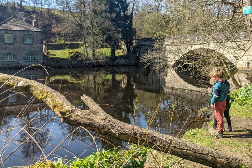 River Derwent walk from Curbar to Froggatt