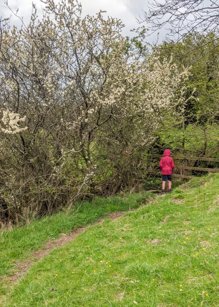 Longnor walk