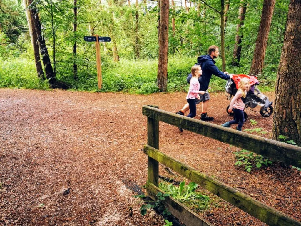 Tittesworth Reservoir walk