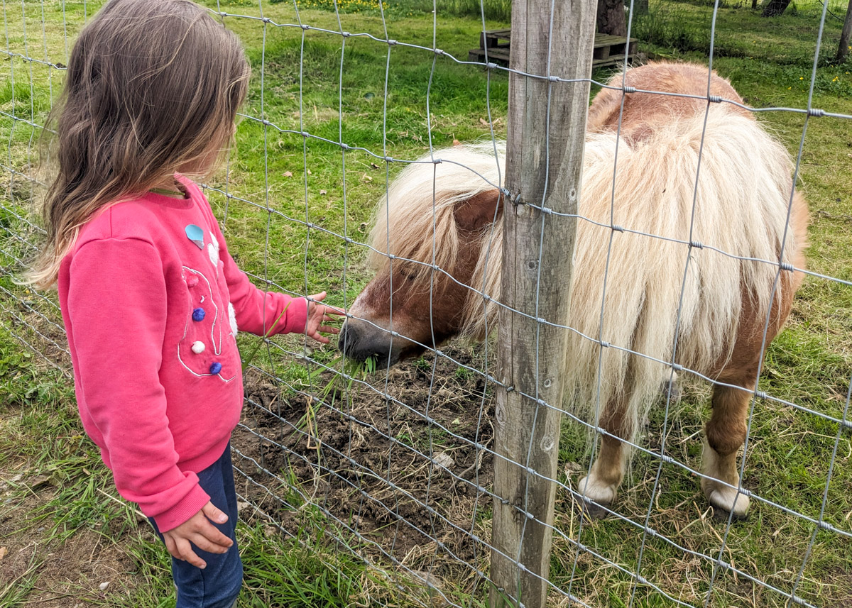 Matlock Meadows, Derbyshire REVIEW: ice-cream, play areas, and farm animals to meet