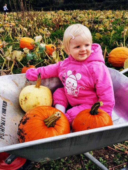 Pumpkin Corner Ashbourne
