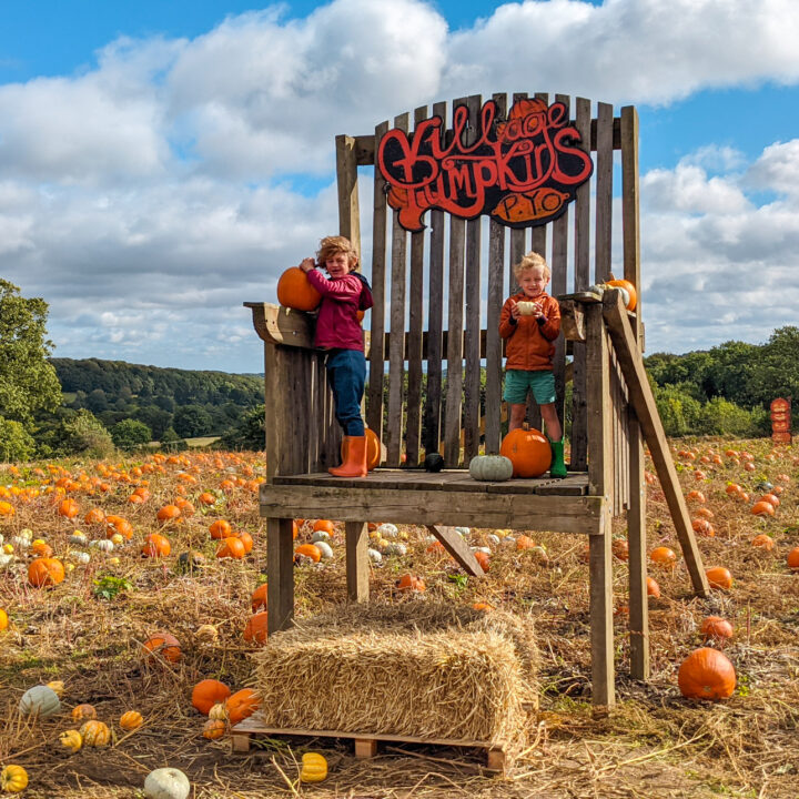 Peak District pumpkin picking