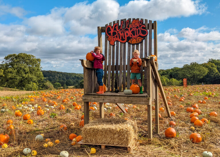 Peak District pumpkin picking