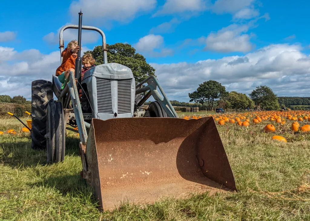 Peak District pumpkin picking