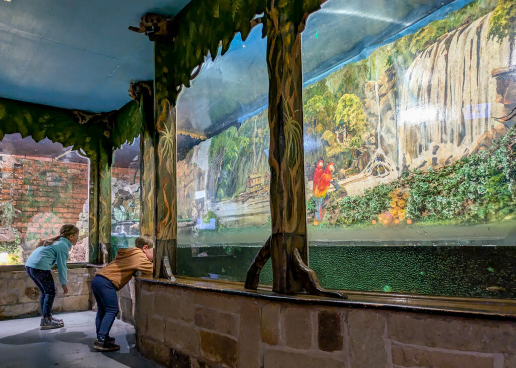 Matlock Bath Aquarium