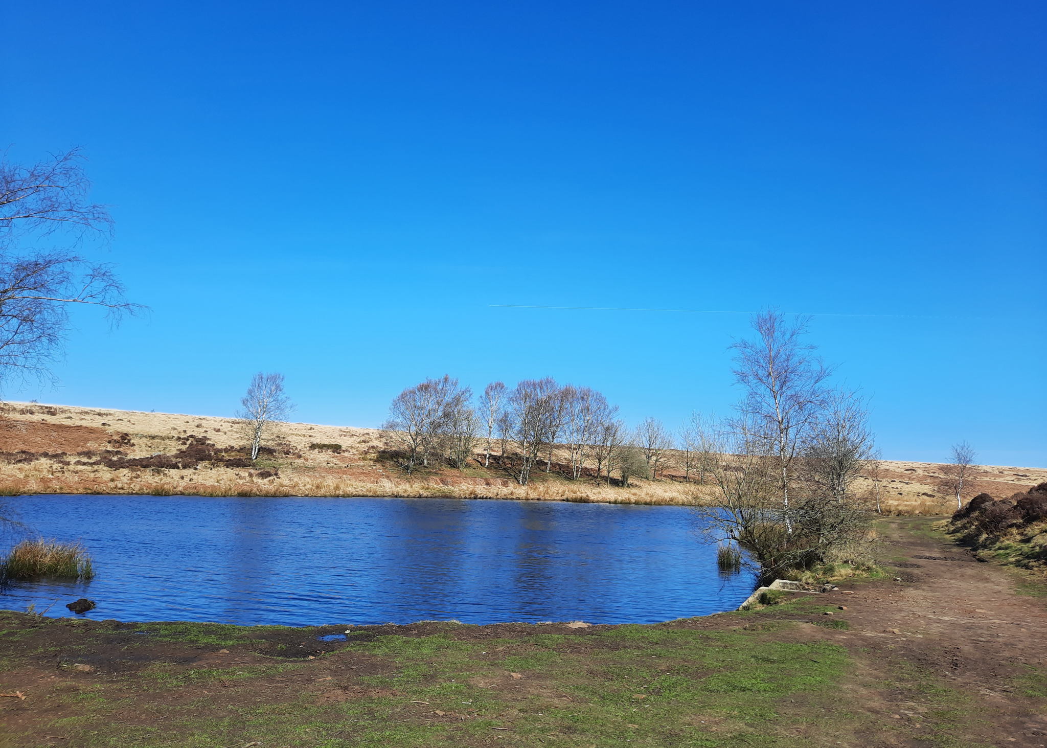 Little Barbrook walk (5km, linear)