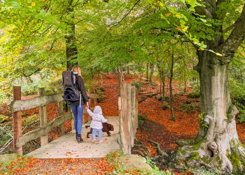 Longshaw Estate toddler walk