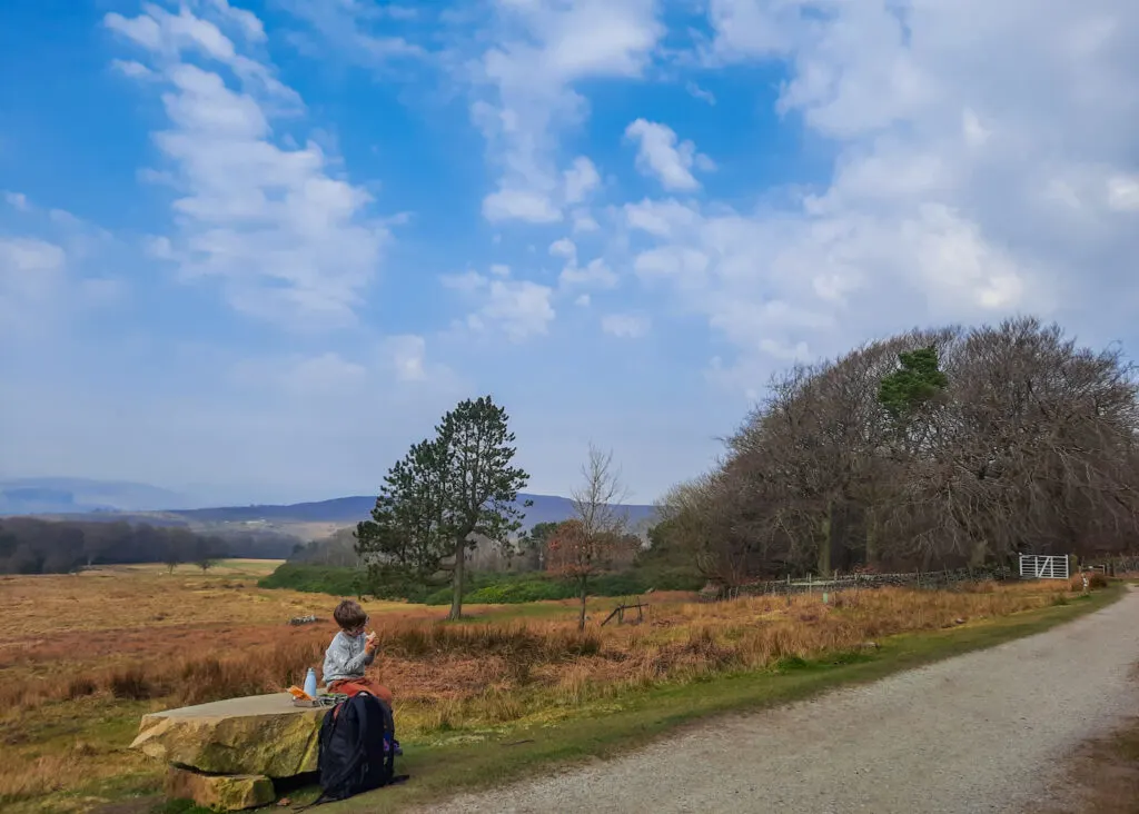 Longshaw walk for toddlers