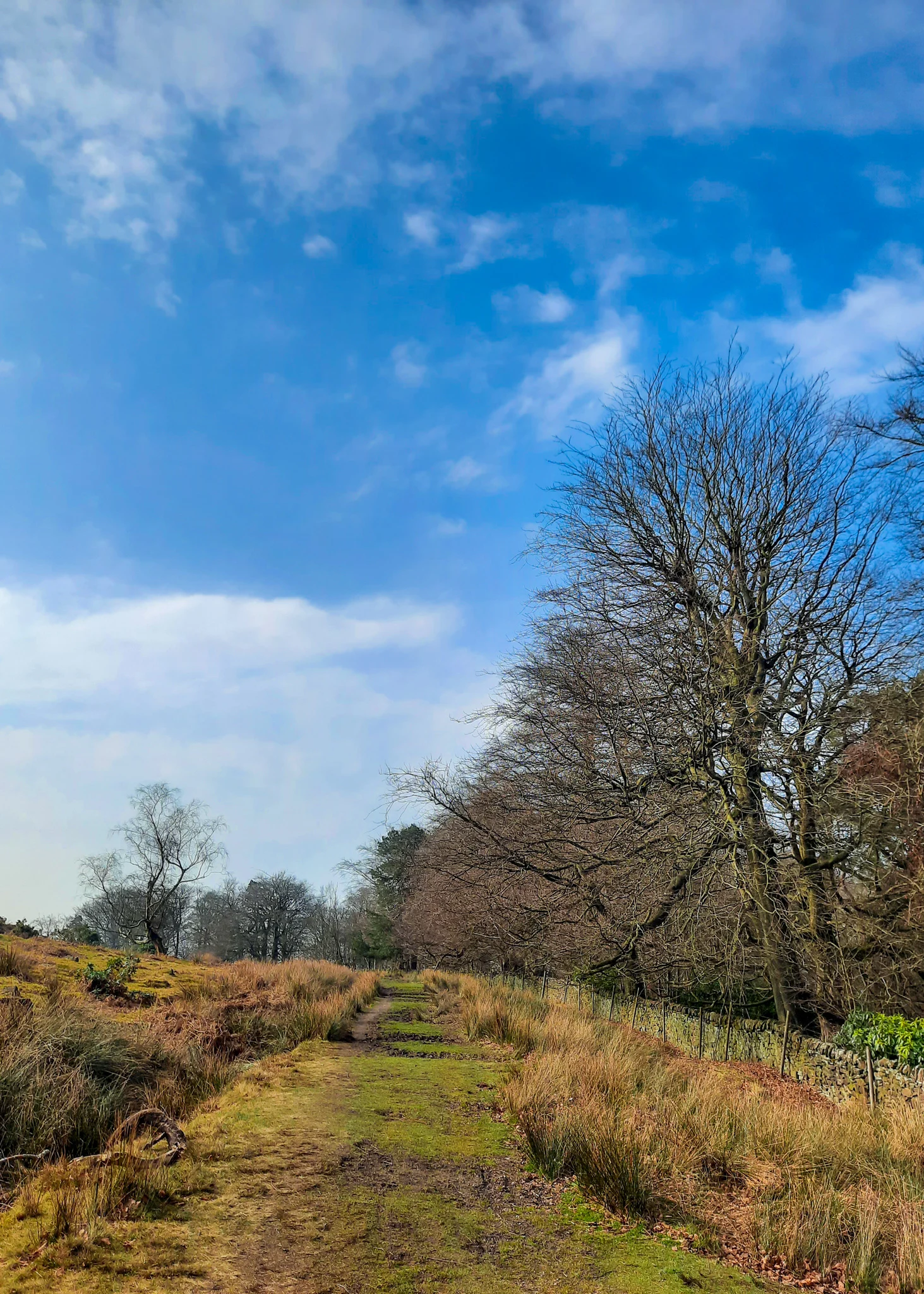 Longshaw walk for toddlers