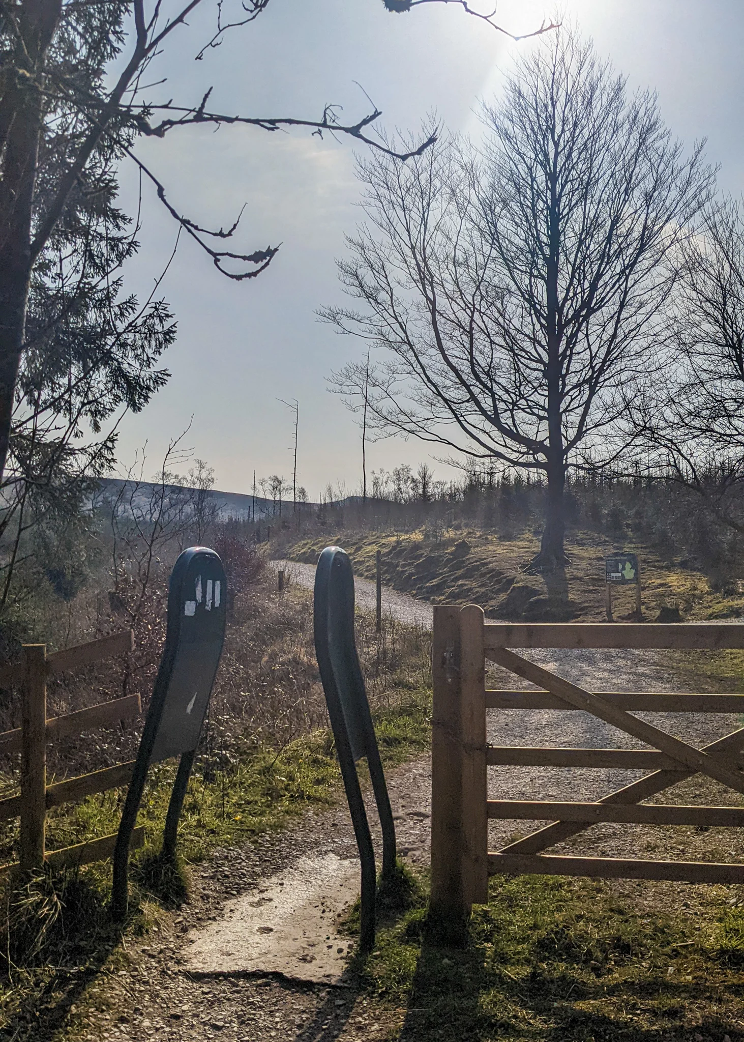 Shutlingsloe walk