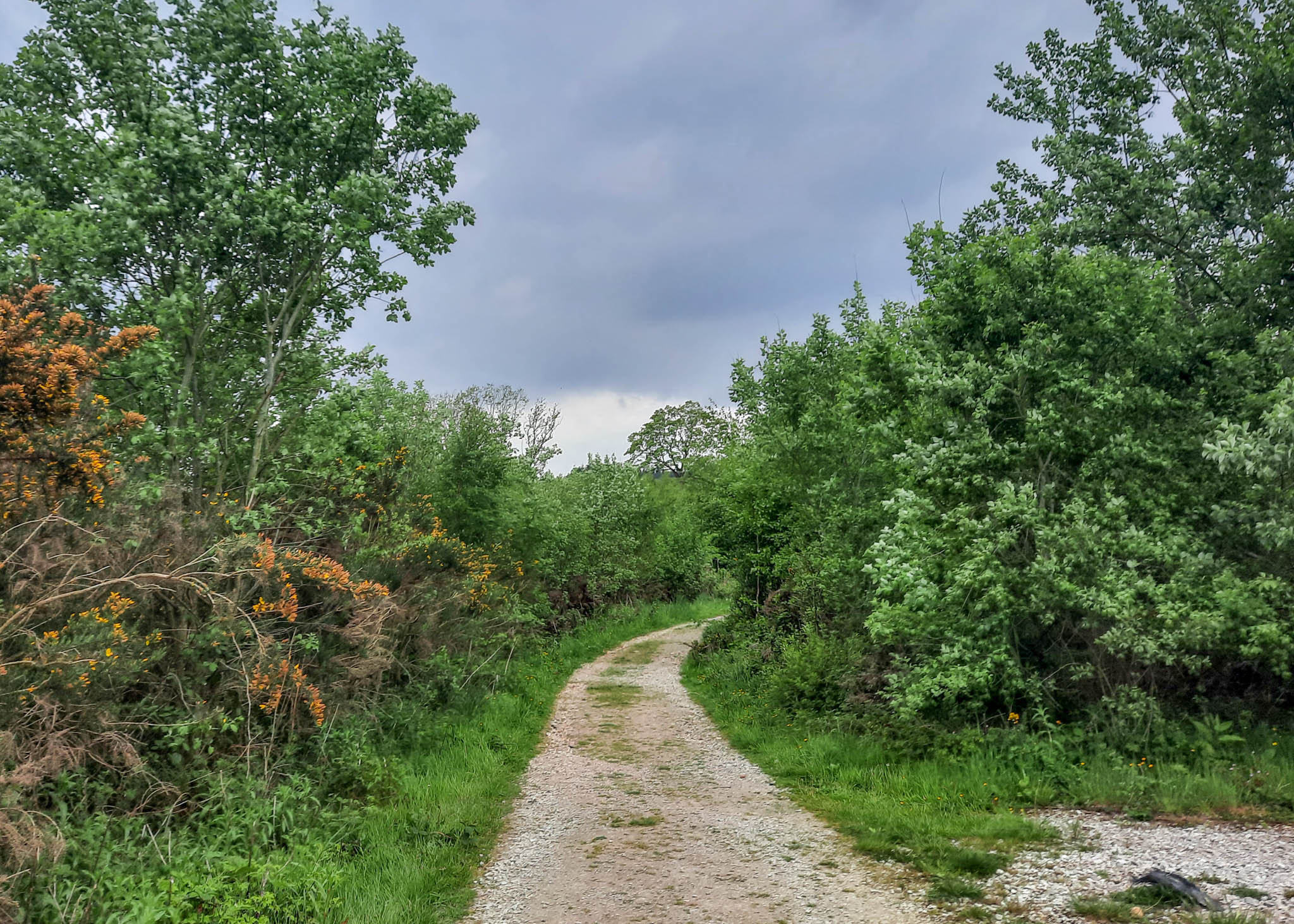 Dale Dike Reservoir walk