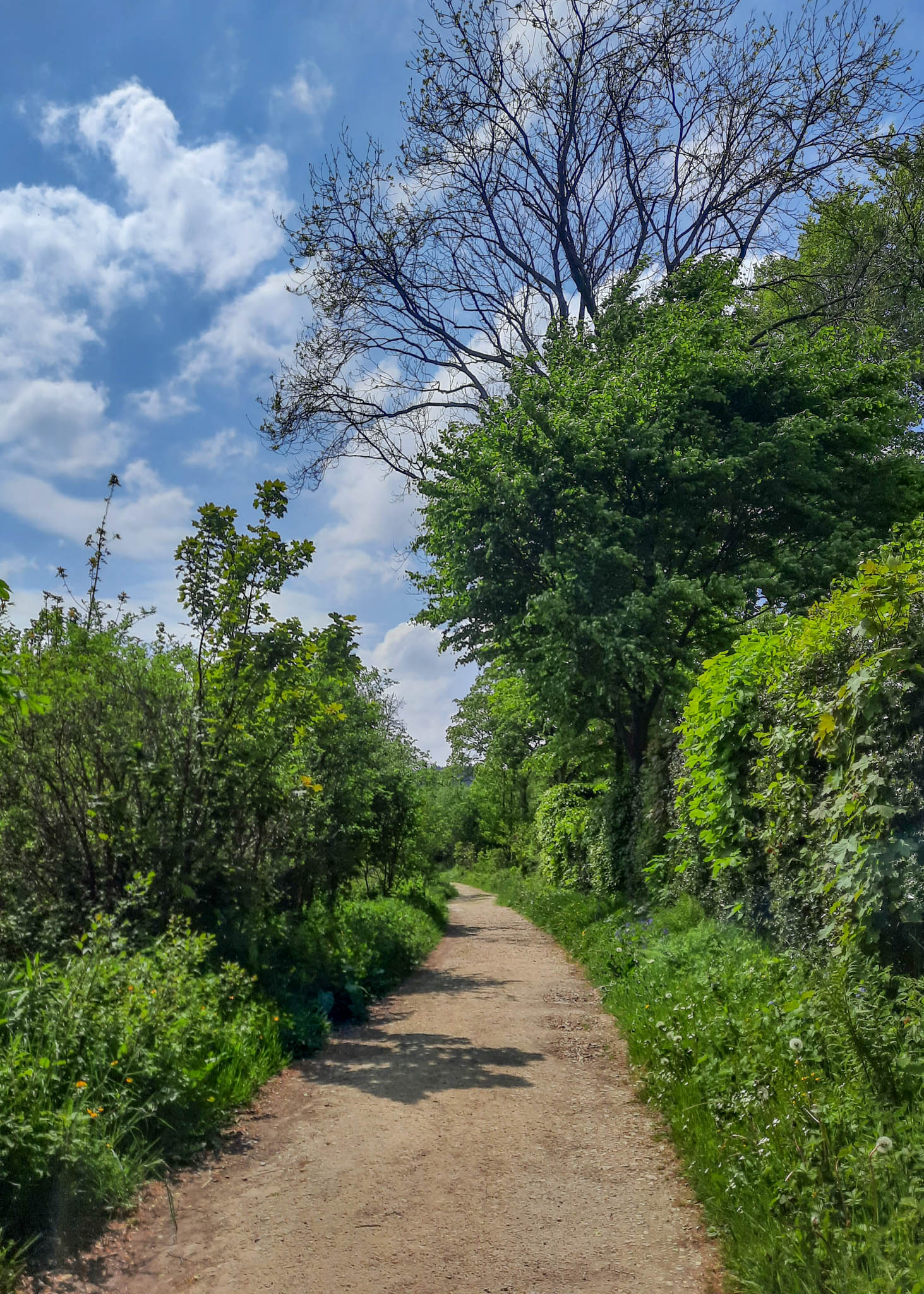 Dale Dike Reservoir walk