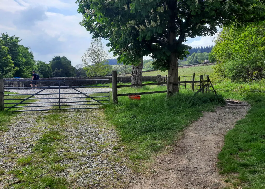 Dale Dike Reservoir walk