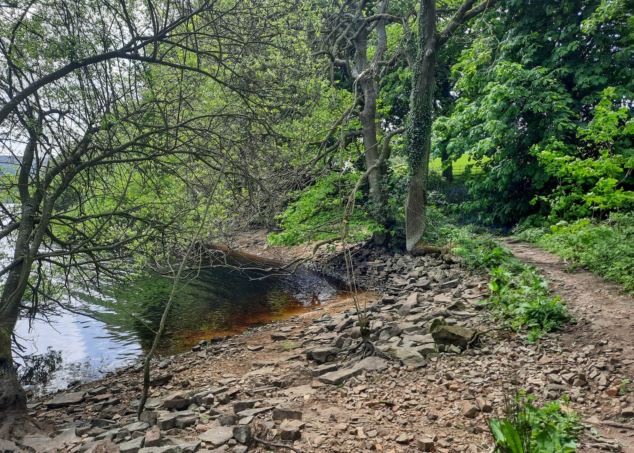 Dale Dike Reservoir walk