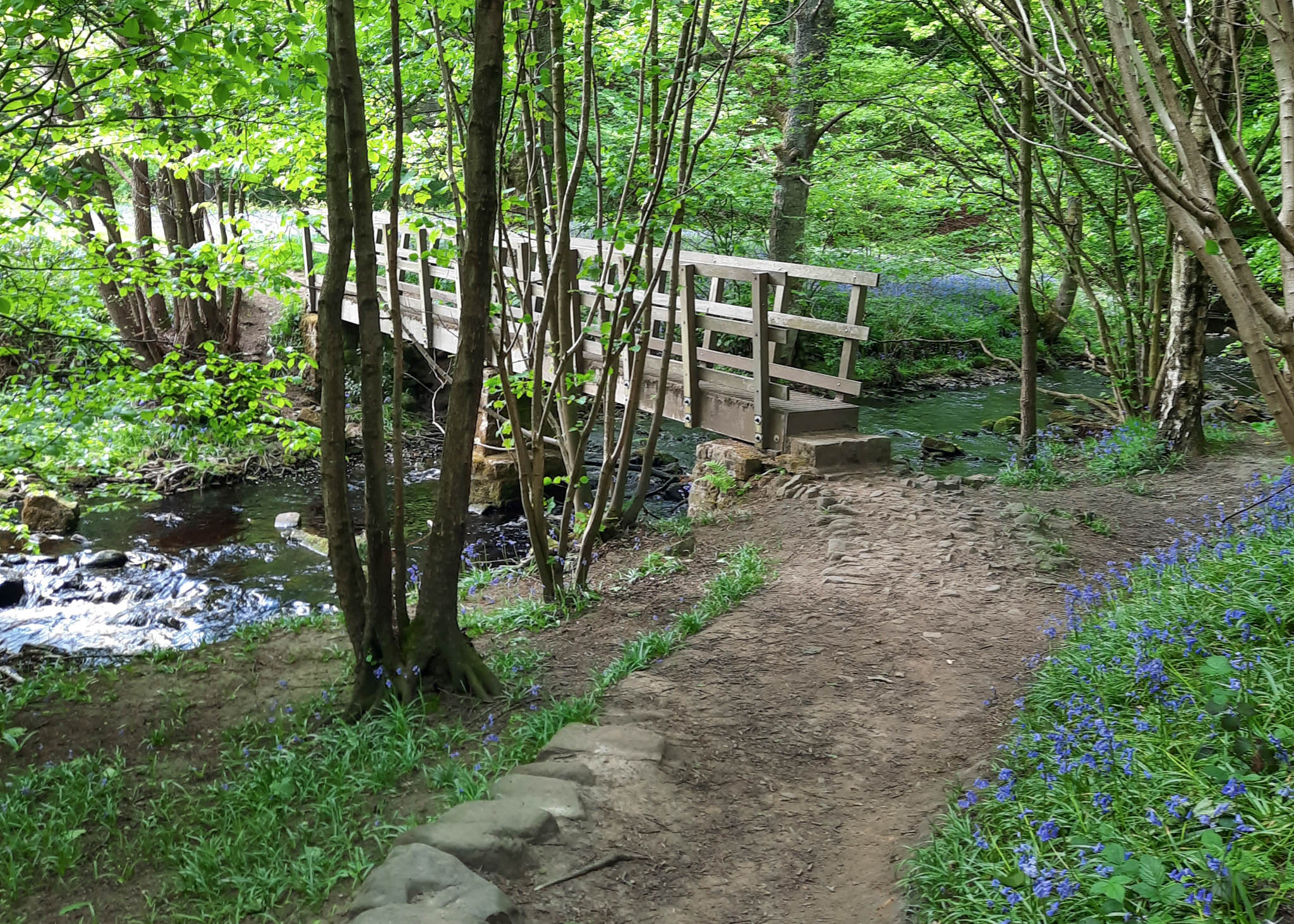 Dale Dike Reservoir walk