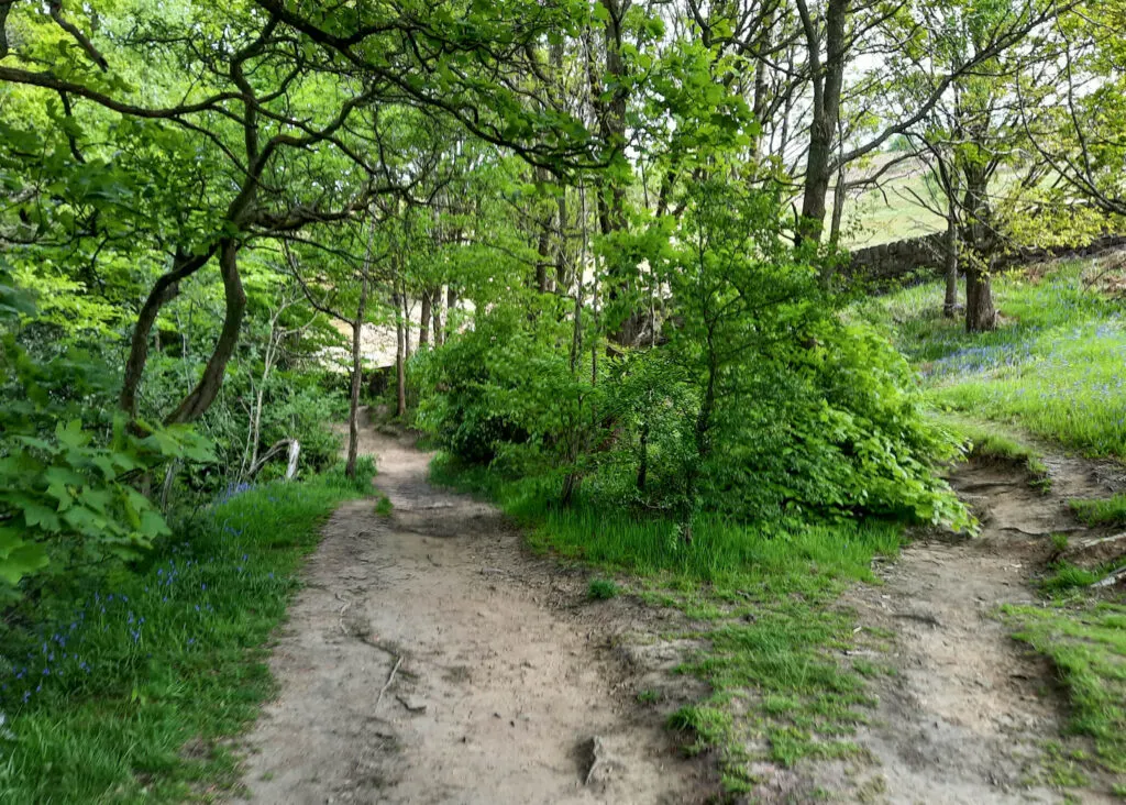 Dale Dike Reservoir walk