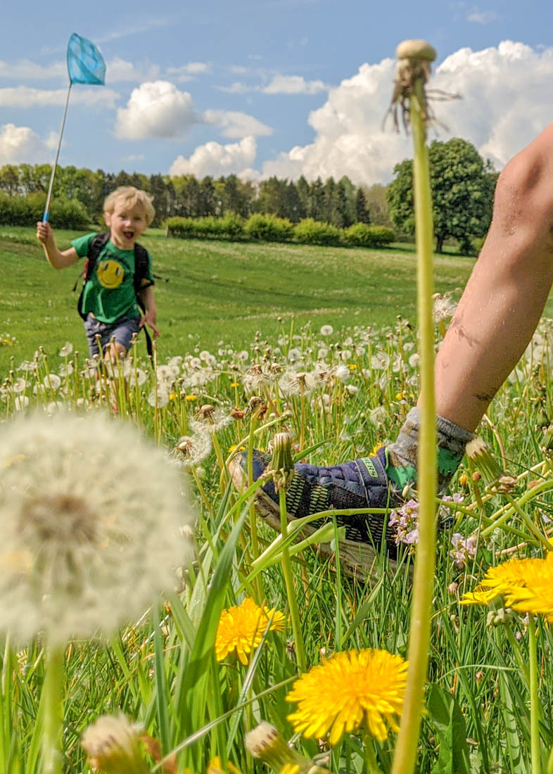 Summer in the Peak District