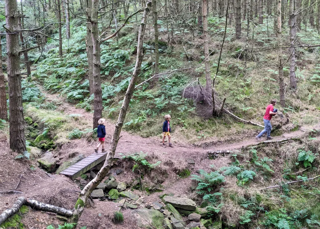 Beeley woods walk, Peak District