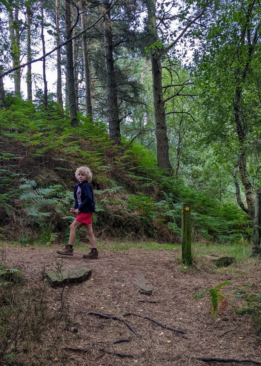 Beeley woods walk, Peak District