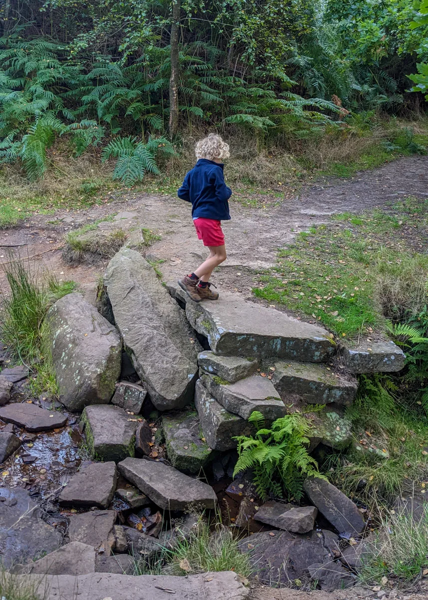 Beeley woods walk, Peak District