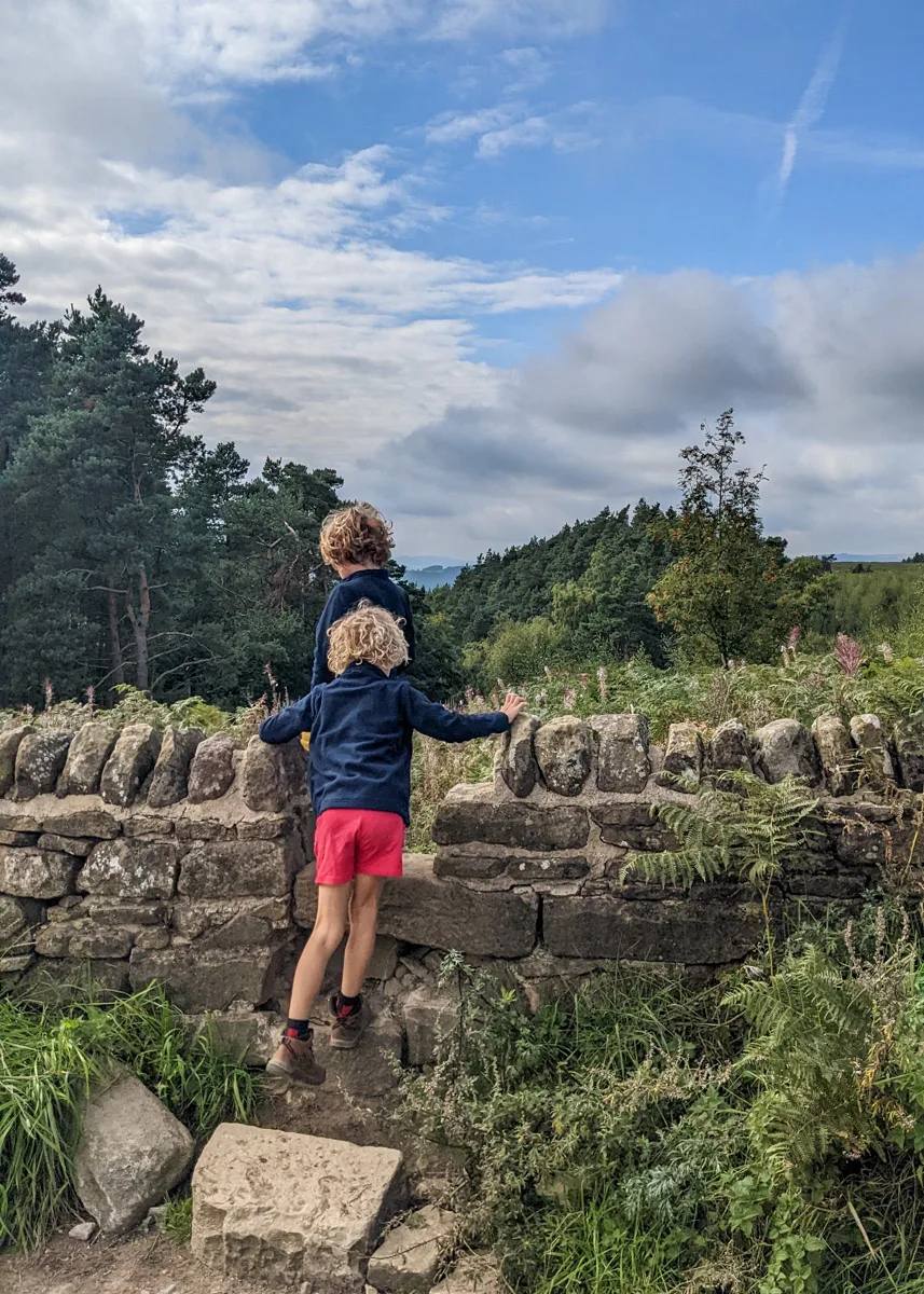 Beeley woods walk, Peak District