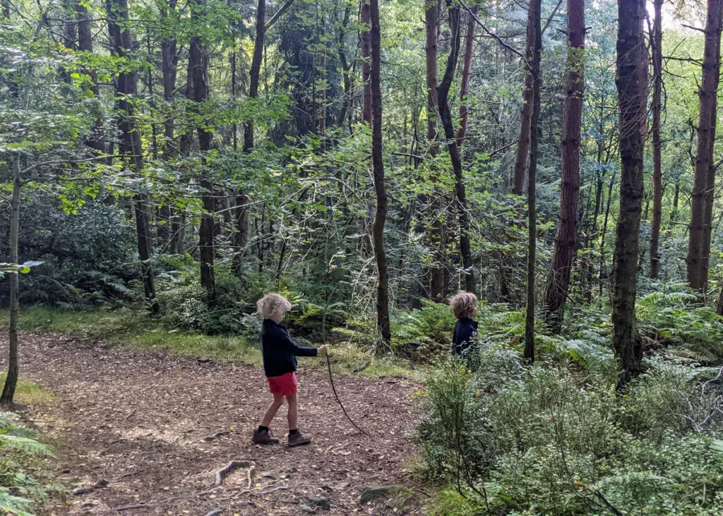 Beeley woods walk, Peak District