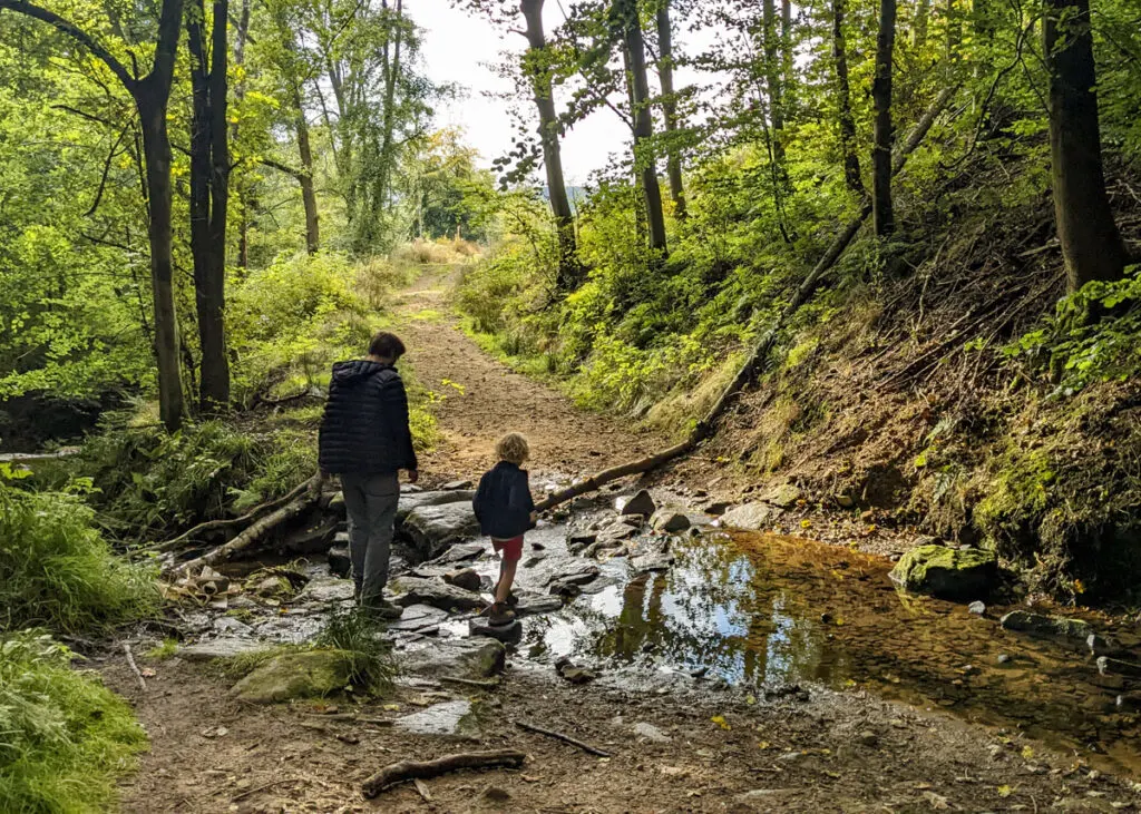 Beeley woods walk, Peak District