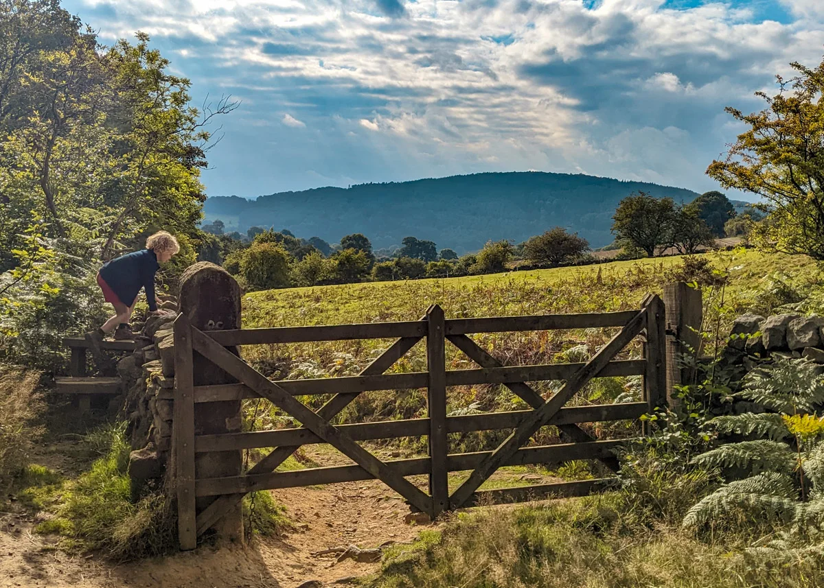 Beeley woods walk, Peak District