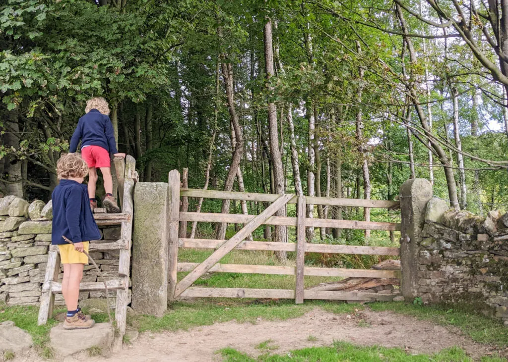 Beeley woods walk, Peak District